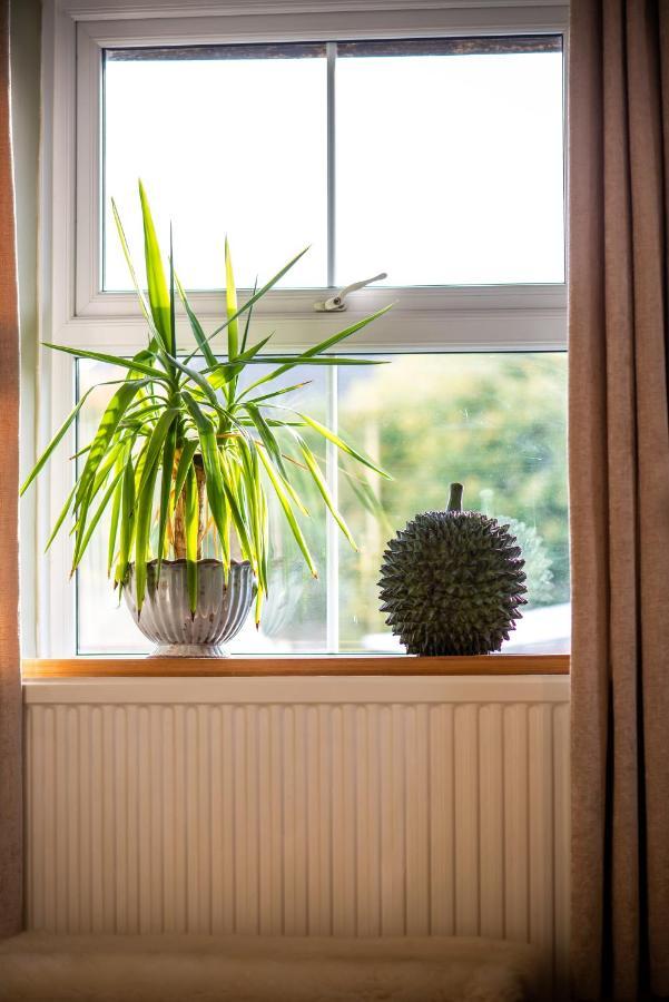 The Cedars Hotell Builth Wells Eksteriør bilde